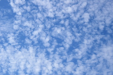 Weiße Schäfchenwolken am blauen Himmel