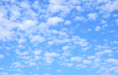 Weiße Schäfchenwolken vor blauen Himmel