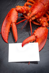 Lobster claw holding a blank card sign