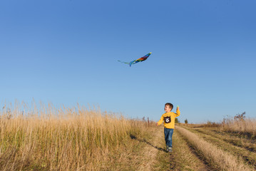 Happy child playing with a kite while running on meadow, sunset, in summer day. Funny time with family. Little boy launch a kite.