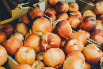 many organic large golden peaches on the shelf display for sale in the local grocery store for background. Fresh fruits concept.