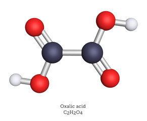 Molecular model of oxalic acid