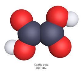 Molecular model oxalic acid 