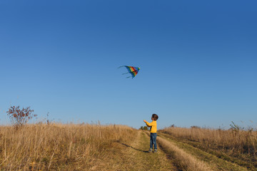 Little boy playing with kite on meadow. Childhood concept