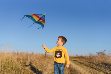 Little boy playing with kite on meadow. Childhood concept