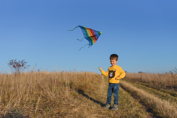 Little boy playing with kite on meadow. Childhood concept