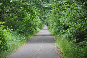 Bike Path