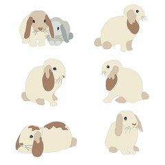 Set of cute funny bunnies. Cute hand drawn design. Bunny Set (one of three)