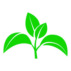 Sprout with leaves. A symbol of an environmentally friendly or rapidly decaying product that does not harm the environment. Vector illustration