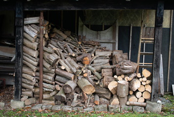 tree trunks cut for winter firewood