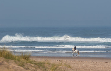 paseo caballo © charly
