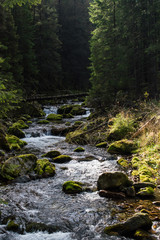 Fototapeta premium River 12
