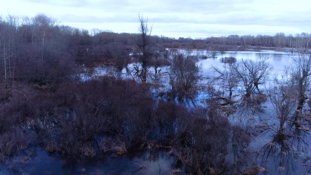 aerial view of the flooded floodplain