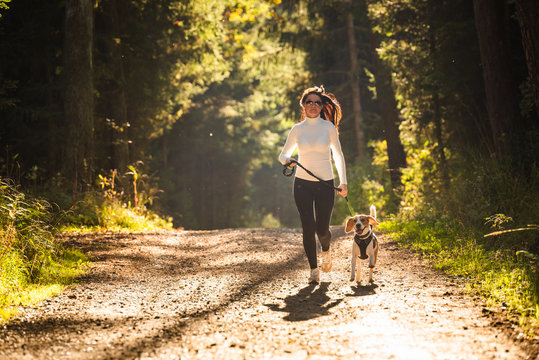 Girl is running with a dog (Beagle) on a leash in the autumn time, sunny day in forest. Copy space in nature