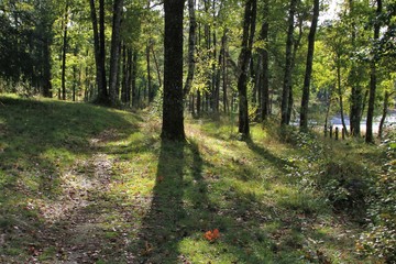 couleurs automnales.