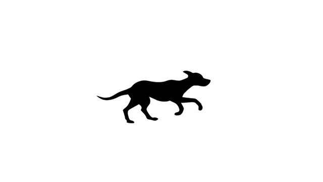 Silhouette of the running black dog, animation on the white background