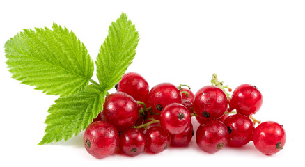 Red ripe Currant berries isolated over white background
