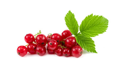 Red ripe Currant berries isolated over white background