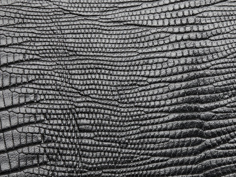 Genuine black snake skin leather texture background. Macro photo