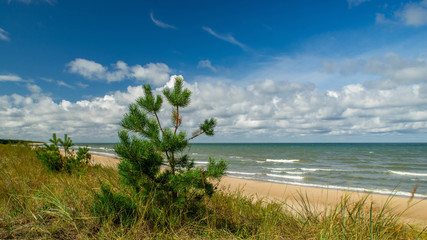 Baltic sea. Beautiful landscape. View of coastline.