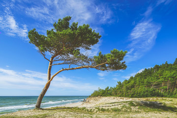 Beautiful landscape. View of coastline. Shot of Baltic sea.