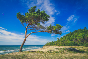 Beautiful landscape. View of coastline. Shot of Baltic sea.