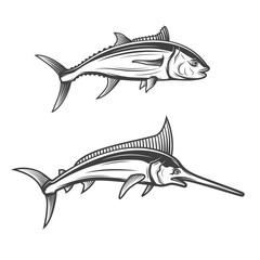 Swordfish and tuna isolated monochrome icons