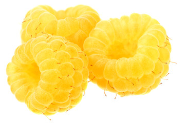 Yellow raspberries isolated on white background. macro