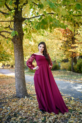 Young princess  in a beautiful red dress in park. The background is bright, golden autumn nature.