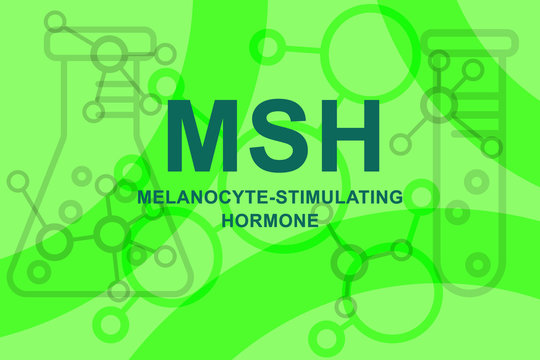 Text sign showing printed words melanocyte-stimulating hormone MSH