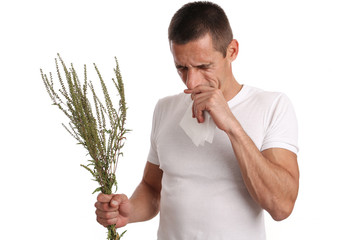Ragweed / Ambrosia Pollen Allergy. Man sneezing