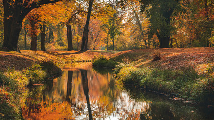 Beautiful autumn landscape with pleasant warm sunny light. Picture taken in Bad Muskau park, Saxony, Germany. UNESCO World Heritage Site.