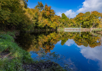 Fototapeta na wymiar Calm weir pool with autumnal tree reflections, blue sky and white clouds