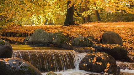 Beautiful autumn view of the waterfall with pleasant warm sunny light. Picture taken in Bad Muskau park, Saxony, Germany. UNESCO World Heritage Site.