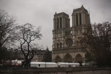 Fototapeta na wymiar Notre Dame side view in a cloudy day