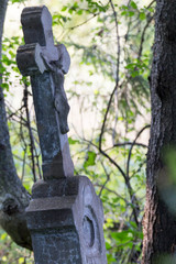 cmentarz miejsce pamięci Polska 