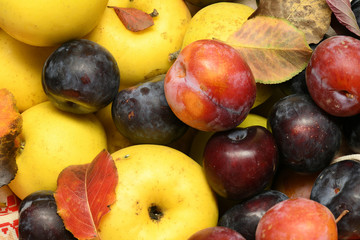 Fruits and vegetables with apples, plums - autumn harvest and healthy food concept. Yellow leaves. Still life on wooden background.