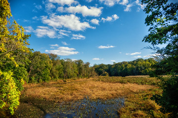 Wenonah Woods Marsh Fall