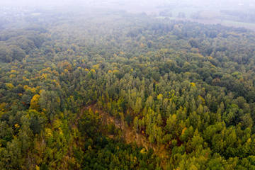 Fototapeta na wymiar Las pośród mgieł w Polsce Bytom z góry