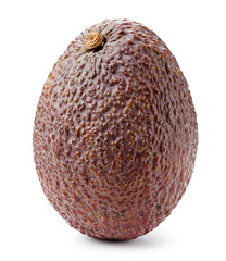 Avocado isolated on white