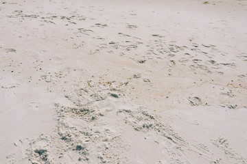 Sand and Waves on Beach