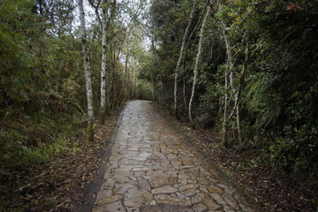Fototapeta premium Laguna de Guatavita - Colombia