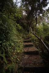 Laguna de Guatavita - Colombia