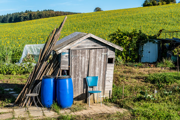 Obraz premium Hütte im Schrebergarten