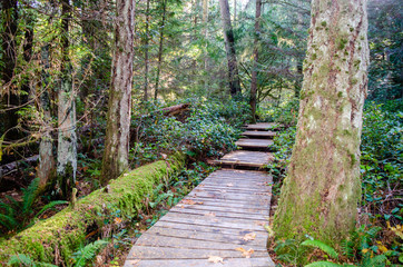 Steps