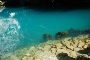 coral reef in sea