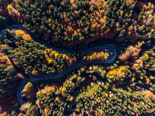 View from the air of a winding  asphalt road with turns, through  beautiful colorful autumn forest  with red yellow and green trees in Transfagarasan – Carpathian mountains, Romania.