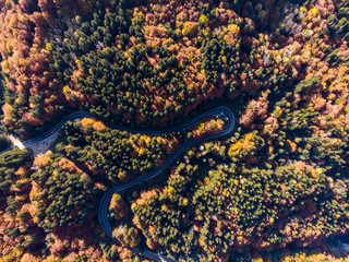View from the air of a winding  asphalt road with turns, through  beautiful colorful autumn forest  with red yellow and green trees in Transfagarasan – Carpathian mountains, Romania.