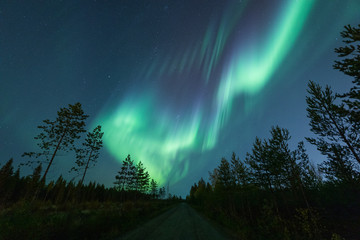 Beautiful northern lights on night sky