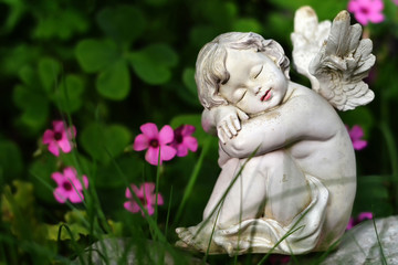 Cute angel and pink flowers